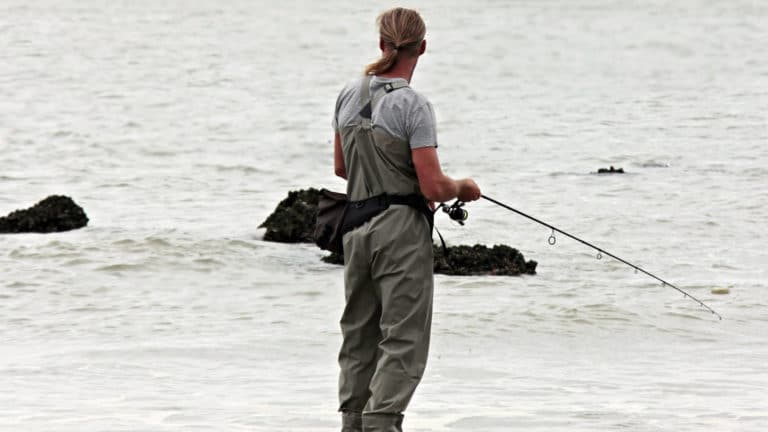 pêche à la carpe